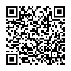 别说是王妃你就是那些沙场老将又有几个不担心的二维码生成