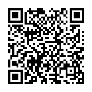 别说狂蛇还只是拥有着一百五十万圣痕之力的力量二维码生成