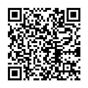 别说羚飞仙就算全部人加起来怕是都不是夏雨的对手吧二维码生成