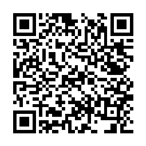 别说自己说她笨了就算是骂两句那也绝对是喜欢的二维码生成