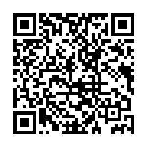 别跟我说什么只要放过你以后就不会再来找我麻烦的蠢话二维码生成