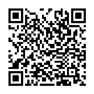 别跟着某些个早以不知良心为何物的佞臣为虎作伥二维码生成