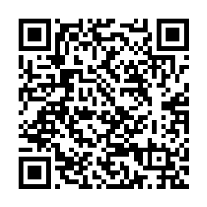 别这么夸张的自责啦~~整的我好像欺负你了似得~~二维码生成