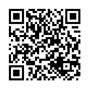 到了五彩缤纷的珊瑚和五光十色的鱼类世界二维码生成