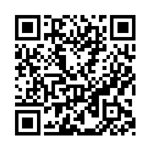 到了冬天松针上满是被冻出来白花花的松糖二维码生成