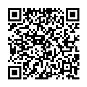 到了大棚里的时候果然就看到了他们两个的身影二维码生成