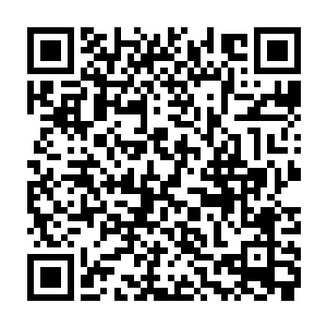 到了岛上一是让他们再订木料然后从现有的木料中把两老道要的东西先建起来二维码生成