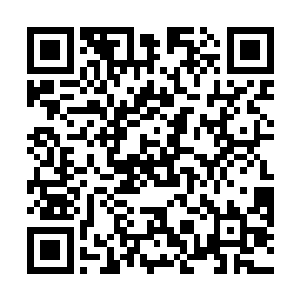 到了晚上老妈把它拿来和土豆炖了一大碗土豆牛肉浓汤二维码生成