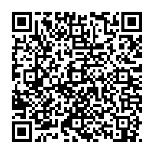 到了最后刘劲松已经觉得眼前的这个年轻得不能够再年轻的小丫头已经可以和他平等交流了二维码生成