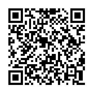到了最后那严重到洞穿前后的伤势从外面看起来二维码生成