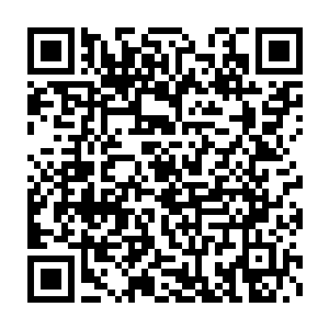 到了此刻才意识到在这凶兽禁地之中跟一名阵法师作对多么不明智选择二维码生成