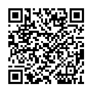 到了海上直接从空间里把鱼弄出来挂上钩就行了二维码生成