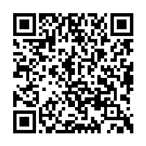 到了清北大学以后……就没有和萧霓裳……也对二维码生成