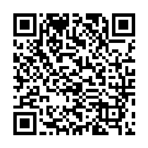到了罗浮宫便如一块小石头扔进平静的湖面荡起一波涟漪二维码生成