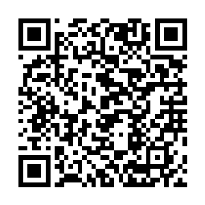 到了苏北市之后所有的监控录像似乎都被人刻意的删除了二维码生成
