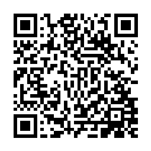 到了贝海和水手们约定的出发时间港口里的海浪伊有几十公分高二维码生成