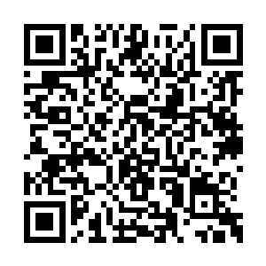 到了贝海的旁边把自己的自行车直接往旁边一扔二维码生成