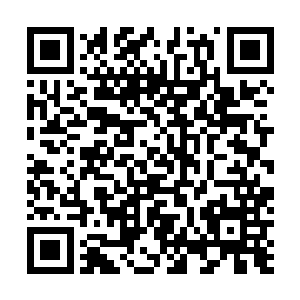 到了车边的时候刚想说话就听到律师走了过来对着自己说二维码生成