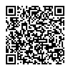 到了那死亡山林之内吴岩取出一个玉瓶里面装不少能够恢复法力补气丹二维码生成