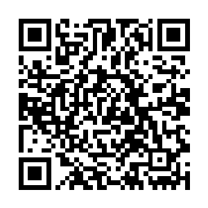 到去年夏天不满主办方一再提高票价而取消演出计划二维码生成