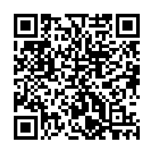 到后面再让这些各区域的天才们汇聚在一起再一次进行选拨二维码生成