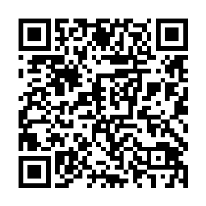 到处都是鸟语花香的……比山谷外面又强出了不少的二维码生成