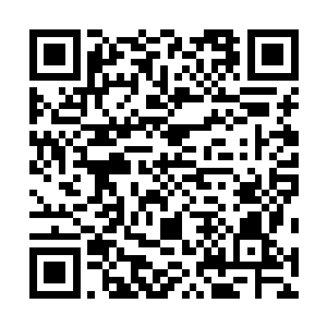 到她死的时候也没发现这朵白莲花开启了啥天赋异能之类二维码生成