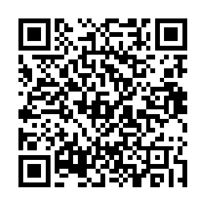 到幽州铁龙宗拜访声援张铁的骑士和豪门大族络绎不绝二维码生成