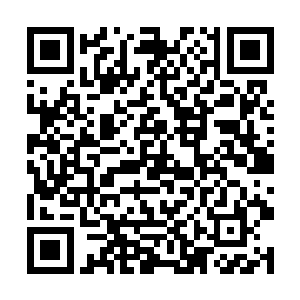 到底何德何能可以顶替他们成为星云基地的第一兵团二维码生成