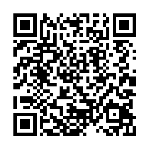 到底如何才能够将练小狐从鬼帝的手中解救出来二维码生成