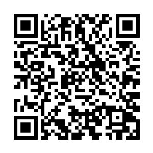 到底将他这堂堂的奉旨采办太监当成了什么阿猫阿狗二维码生成