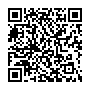 到底是为什么啊……皇帝为什么要给太子下毒啊二维码生成