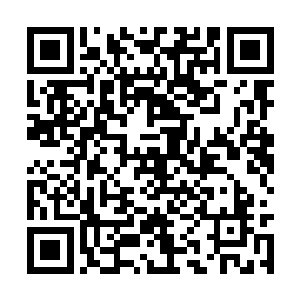 到底是什么人挖出这么一个大坑想要把自己埋进去二维码生成