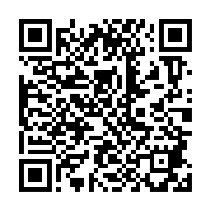 到底是因为我本身的剑术天赋还是因为我苦练的基础剑术二维码生成