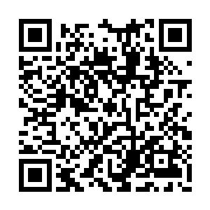 到底是因为时间的推移让她变得健忘了那些伤痛二维码生成