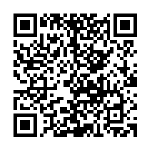 到底是我知道的他现在的模样还是我想象的他真正长大的模样呢二维码生成