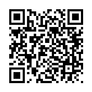 到底是谁在追杀我们岛国最强的忍者二维码生成