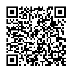 到得曦国的北部后就立即开始展开新一轮的大布局二维码生成