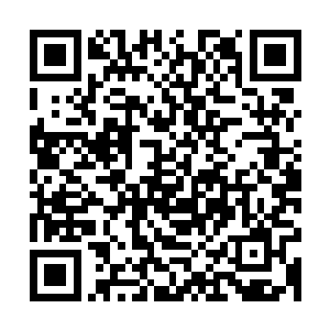 到我们看不到的遥远大世界外的地方好比你身后站着的那位至尊二维码生成