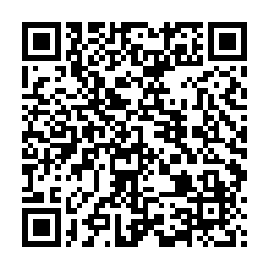 到新麓山集团一纺厂二纺厂新安装两条生产线的设备到岸安装调试二维码生成