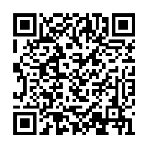 到时候任何人也无法阻止我毁灭灵武大陆的野心二维码生成