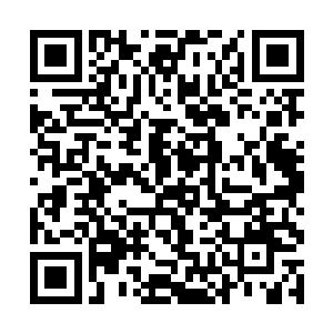 到时候你会痛恨我用的为什么不是一把锋利些的刀子二维码生成