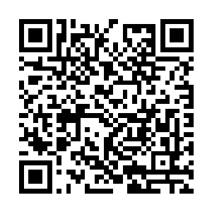 到时候你就能不被任何人发现的出现在皇上面前了二维码生成