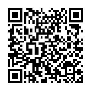 到时候其中一个人故意露出破绽伪装成圣君的样子二维码生成