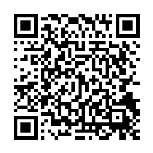 到时候养魂源根之中的那一丝纯阳之力爆发……你的机会就来了二维码生成