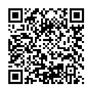 到时候南灵宗的人只会认为我们六人全部都葬身在了荒蛮海域二维码生成