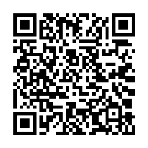 到时候即便是杀不死龙傲天也绝对足以逼退对方二维码生成