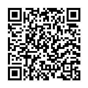 到时候又不知道这小家伙什么时候才能重新醒过来了二维码生成