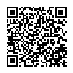 到时候双手恢复了我就可以走出这片该死的森林了二维码生成