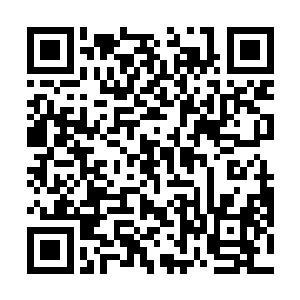 到时候只有你还有你的那些手下帮忙阻挡外来修真者了二维码生成